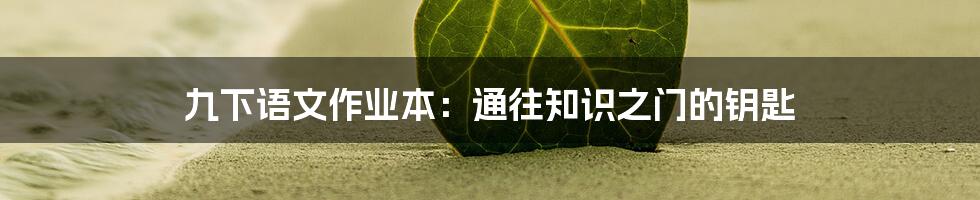 九下语文作业本:通往知识之门的钥匙