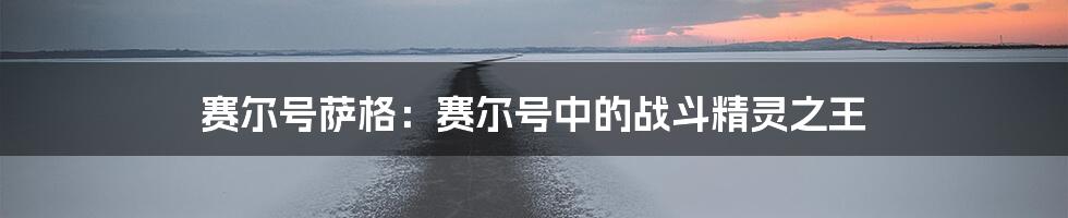 赛尔号萨格:赛尔号中的战斗精灵之王