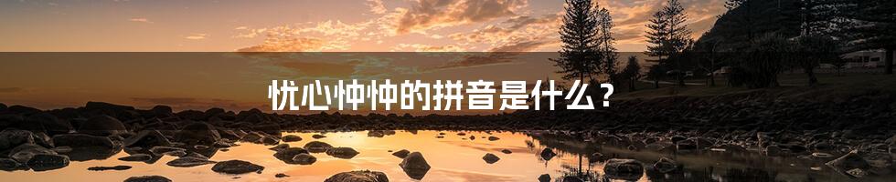 忧心忡忡的拼音是什么？