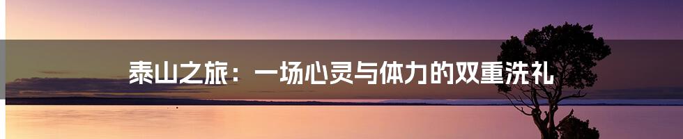 泰山之旅:一场心灵与体力的双重洗礼
