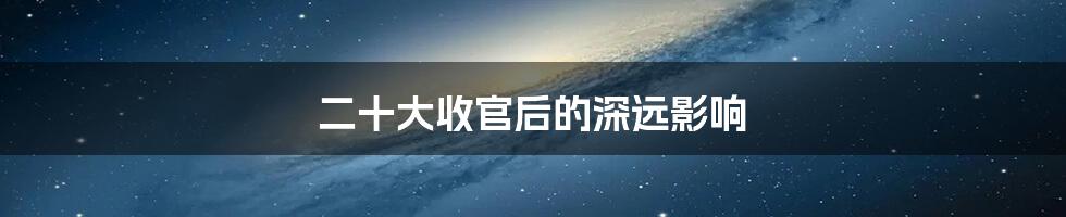 二十大收官后的深远影响