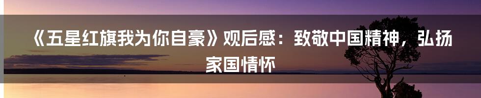 《五星红旗我为你自豪》观后感:致敬中国精神,弘扬家国情怀