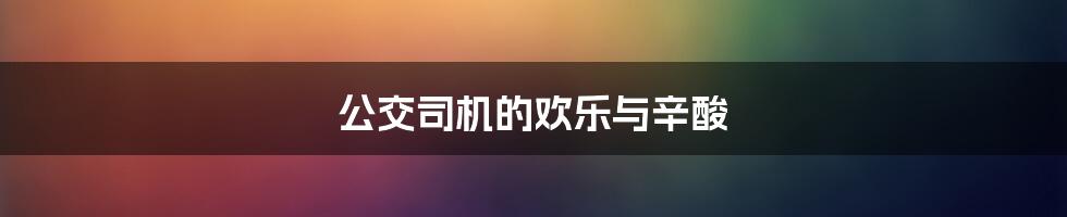 公交司机的欢乐与辛酸