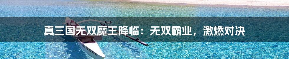 真三国无双魔王降临:无双霸业,激燃对决