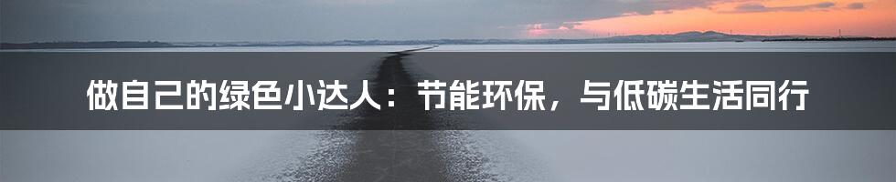 做自己的绿色小达人：节能环保，与低碳生活同行