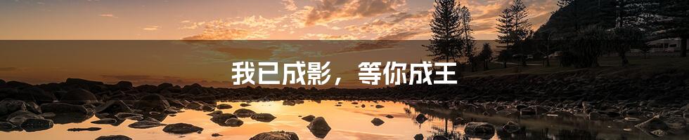 我已成影,等你成王