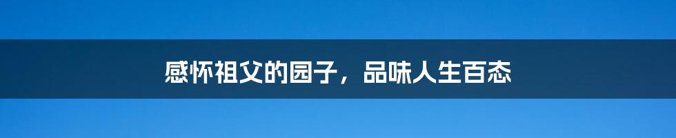 感怀祖父的园子,品味人生百态