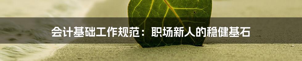 会计基础工作规范:职场新人的稳健基石