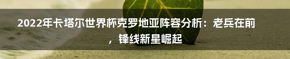 2022年卡塔尔世界杯克罗地亚阵容分析：老兵在前，锋线新星崛起