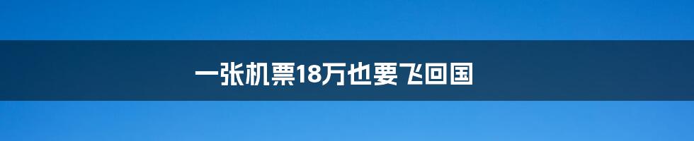 一张机票18万也要飞回国