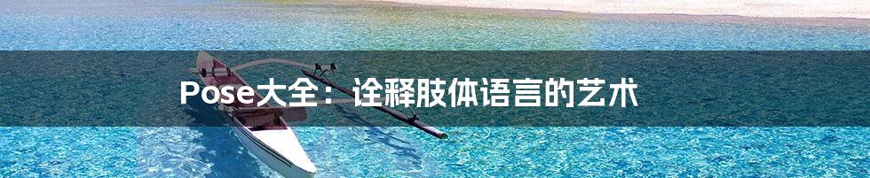 Pose大全:诠释肢体语言的艺术
