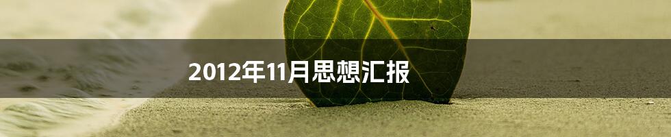 2012年11月思想汇报