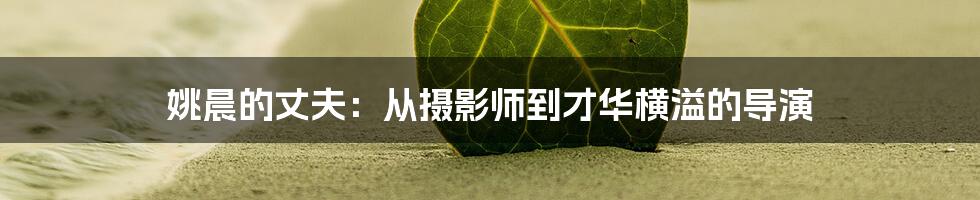 姚晨的丈夫:从摄影师到才华横溢的导演