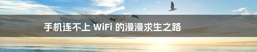 手机连不上 WiFi 的漫漫求生之路