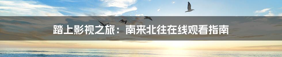 踏上影视之旅：南来北往在线观看指南