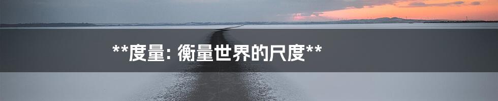 **度量: 衡量世界的尺度**