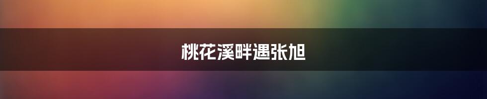 桃花溪畔遇张旭