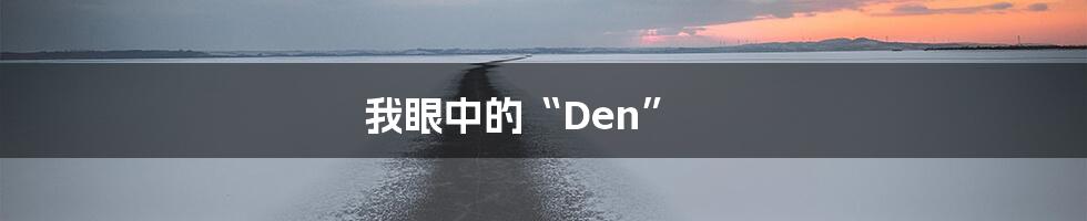 我眼中的“Den”