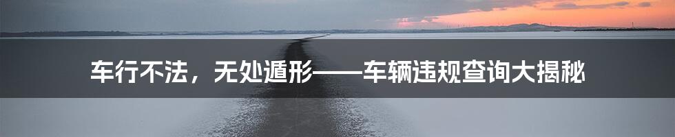 车行不法，无处遁形——车辆违规查询大揭秘