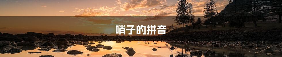 哨子的拼音