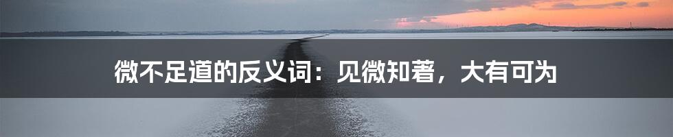 微不足道的反义词:见微知著,大有可为