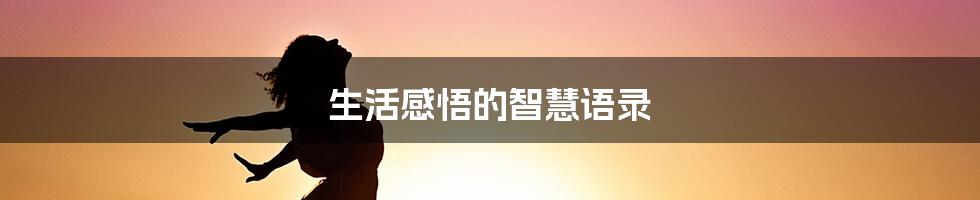生活感悟的智慧语录