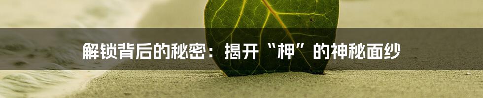 解锁背后的秘密:揭开“柙”的神秘面纱