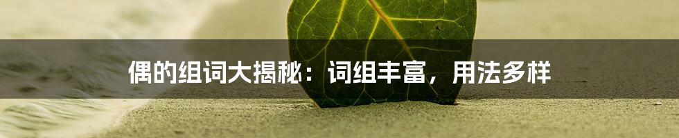 偶的组词大揭秘：词组丰富，用法多样