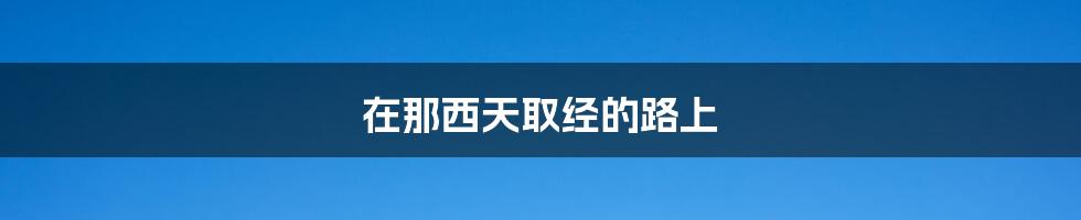 在那西天取经的路上