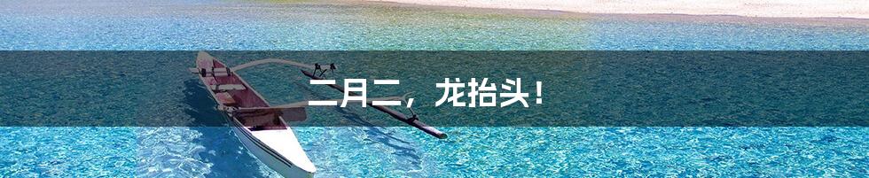 二月二,龙抬头!