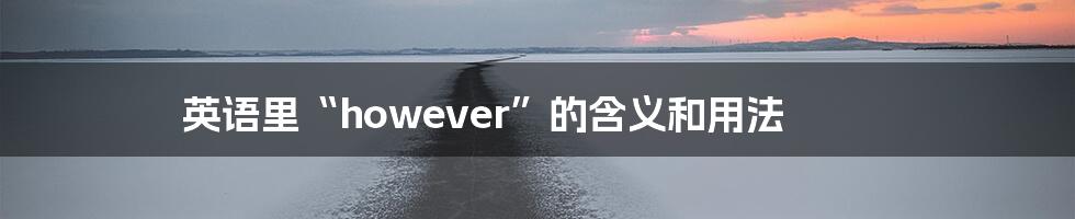 英语里“however”的含义和用法