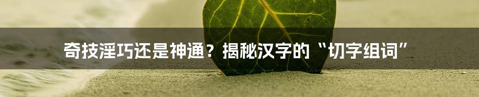 奇技淫巧还是神通？揭秘汉字的“切字组词”