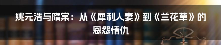 姚元浩与隋棠:从《犀利人妻》到《兰花草》的恩怨情仇