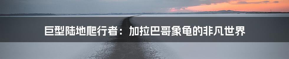 巨型陆地爬行者:加拉巴哥象龟的非凡世界
