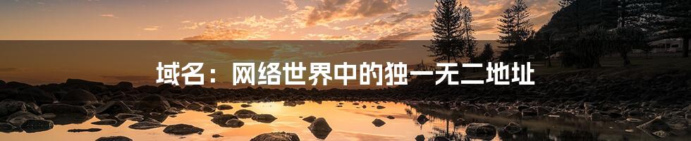 域名：网络世界中的独一无二地址