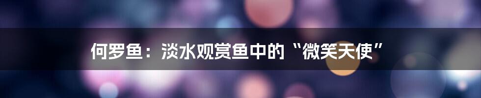 何罗鱼：淡水观赏鱼中的“微笑天使”