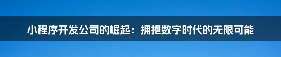 小程序开发公司的崛起:拥抱数字时代的无限可能