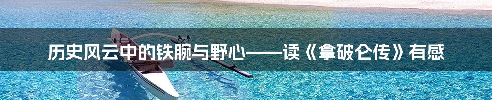 历史风云中的铁腕与野心——读《拿破仑传》有感