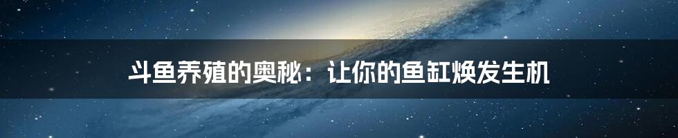 斗鱼养殖的奥秘：让你的鱼缸焕发生机