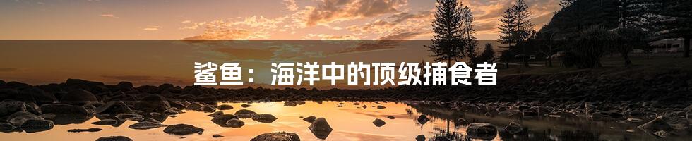 鲨鱼:海洋中的顶级捕食者