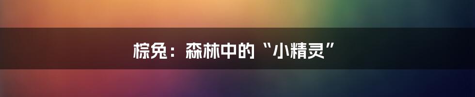 棕兔:森林中的“小精灵”