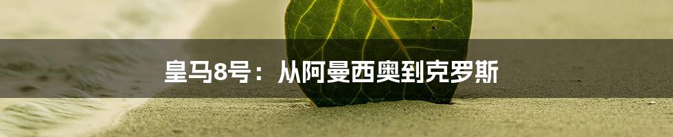 皇马8号:从阿曼西奥到克罗斯