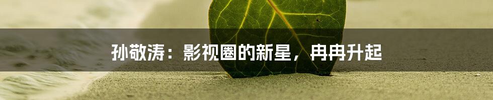 孙敬涛：影视圈的新星，冉冉升起