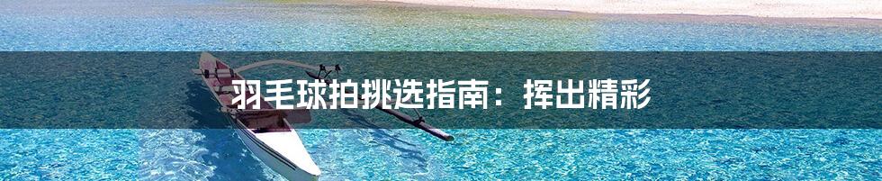 羽毛球拍挑选指南:挥出精彩