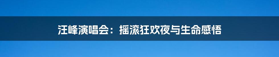 汪峰演唱会:摇滚狂欢夜与生命感悟