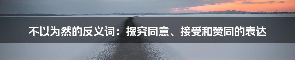 不以为然的反义词:探究同意、接受和赞同的表达