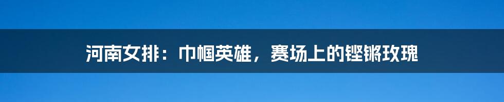 河南女排:巾帼英雄,赛场上的铿锵玫瑰