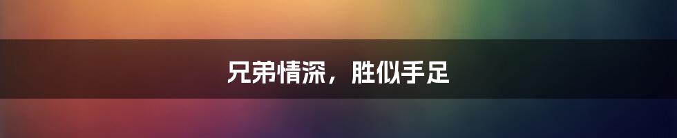 兄弟情深,胜似手足