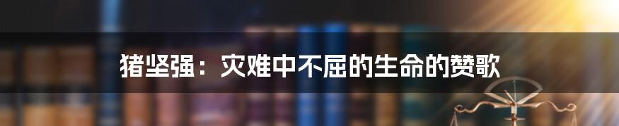 猪坚强:灾难中不屈的生命的赞歌
