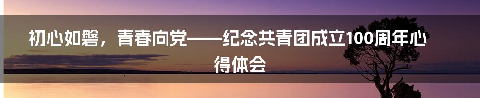 初心如磐，青春向党——纪念共青团成立100周年心得体会